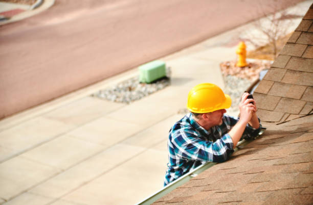 Best Roof Gutter Cleaning  in Ithaca, NY